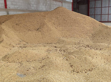 ติดตามโครงการรวบรวมข้าวเปลือก ปีการผลิต 2568/69 ... พารามิเตอร์รูปภาพ 5